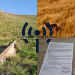 PHOTO-2026-03-02-12-02-57