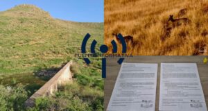 PHOTO-2026-03-02-12-02-57