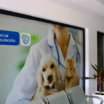 WhatsApp-Image-2025-09-02-at-8.46.43-AM-1024x682