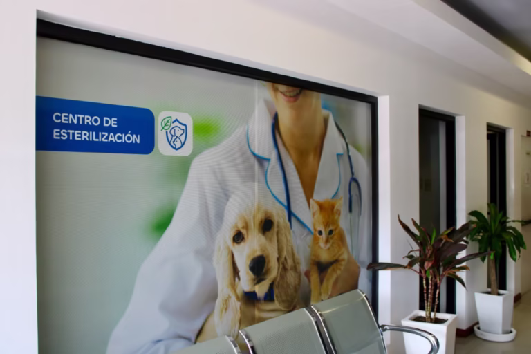 WhatsApp-Image-2025-09-02-at-8.46.43-AM-1024x682