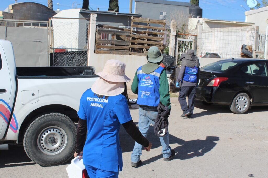 WhatsApp Image 2026-03-02 at 12.25.04 PM (2)