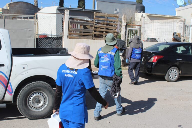 WhatsApp Image 2026-03-02 at 12.25.04 PM (2)