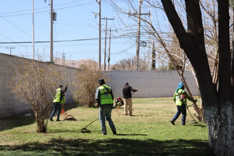 WhatsApp Image 2026-03-03 at 9.20.05 AM