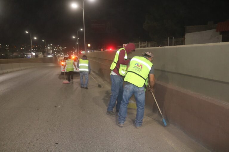 WhatsApp Image 2026-03-04 at 12.04.28 PM