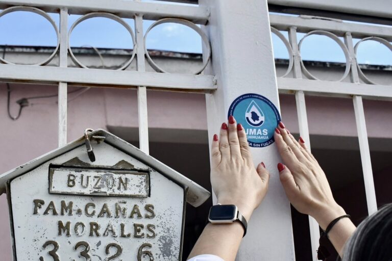 WhatsApp Image 2026-03-05 at 11.41.27