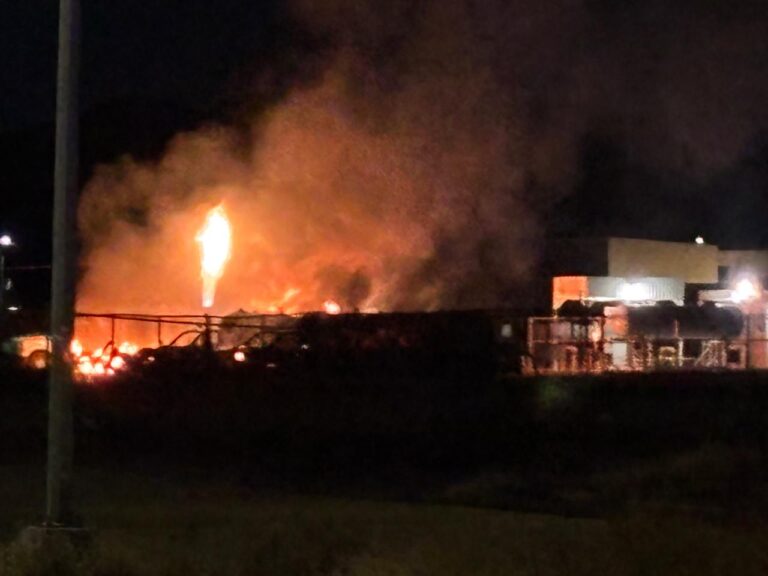 WhatsApp Image 2026-03-07 at 11.41.25 AM