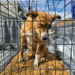 WhatsApp Image 2026-03-07 at 9.19.09 AM