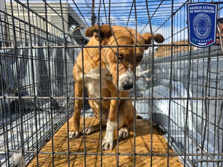 WhatsApp Image 2026-03-07 at 9.19.09 AM