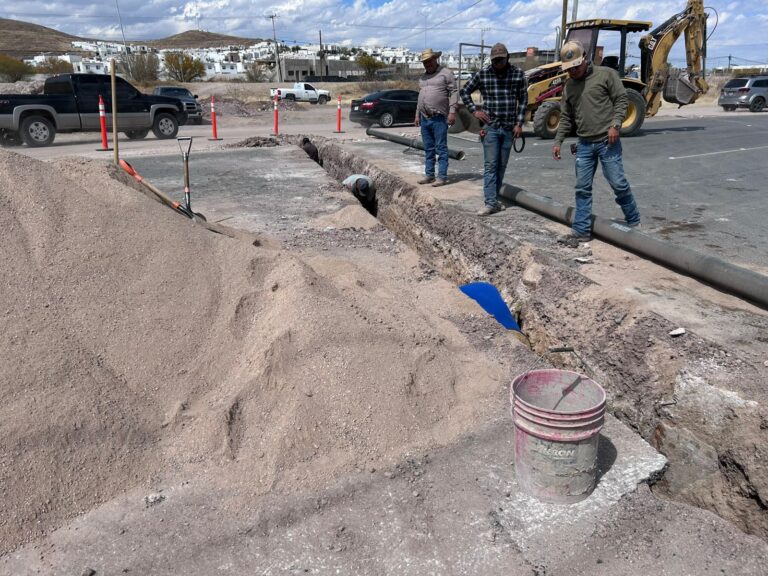 WhatsApp Image 2026-03-09 at 12.53.33 PM (1)