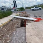 WhatsApp Image 2026-03-13 at 11.04.10 AM