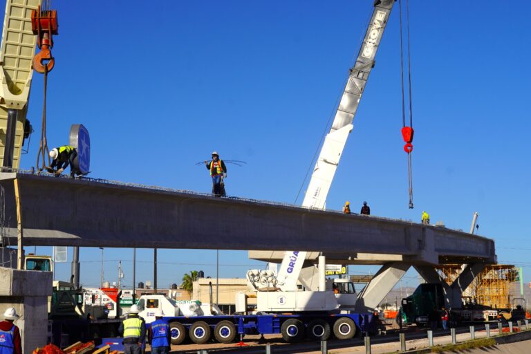 WhatsApp Image 2026-03-13 at 12.00.39 PM