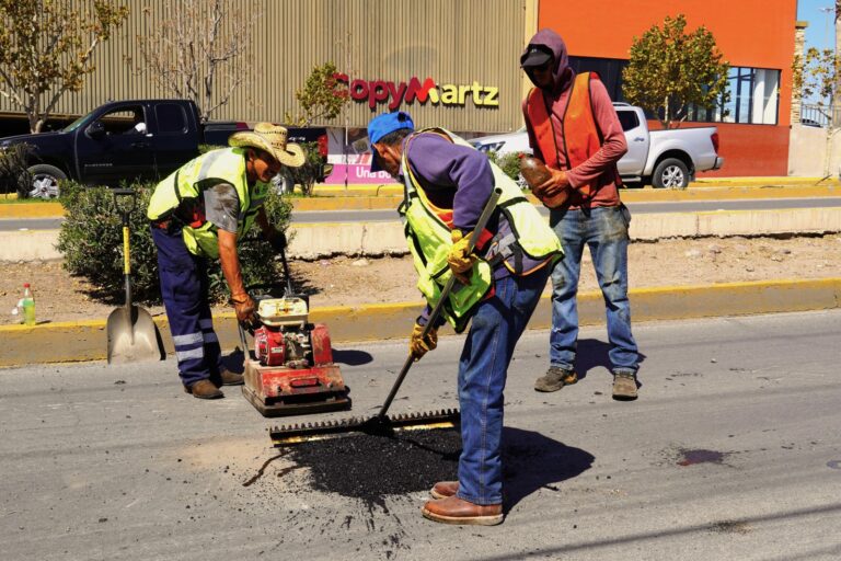 WhatsApp Image 2026-03-13 at 3.29.30 PM