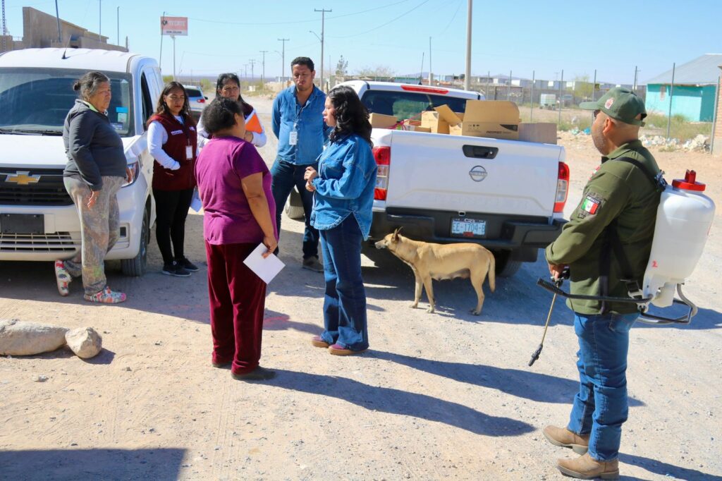 WhatsApp Image 2026-03-14 at 9.20.55 AM