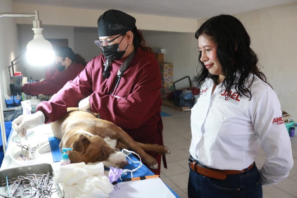 WhatsApp Image 2026-03-16 at 09.16.12