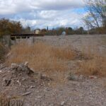 WhatsApp Image 2026-03-17 at 1.22.27 PM