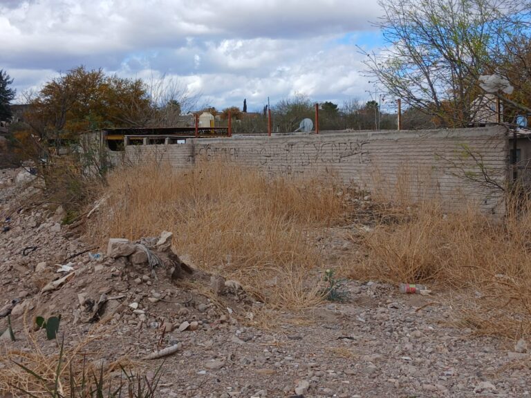 WhatsApp Image 2026-03-17 at 1.22.27 PM