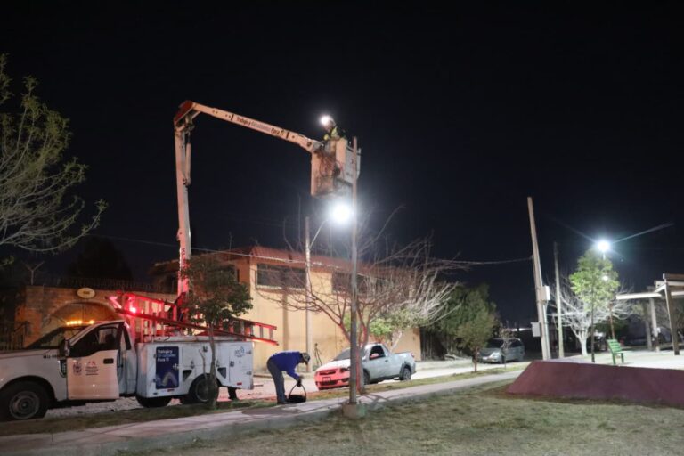 WhatsApp Image 2026-03-17 at 11.31.47 AM