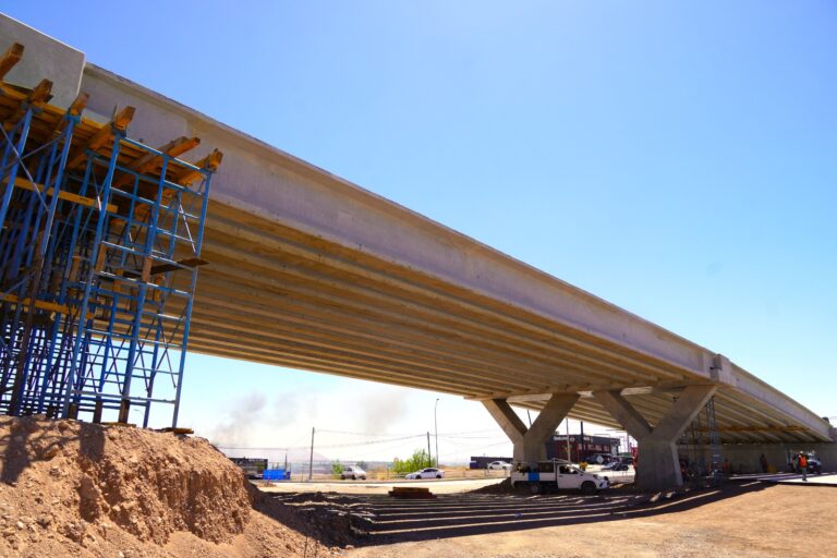 WhatsApp Image 2026-03-18 at 3.00.08 PM