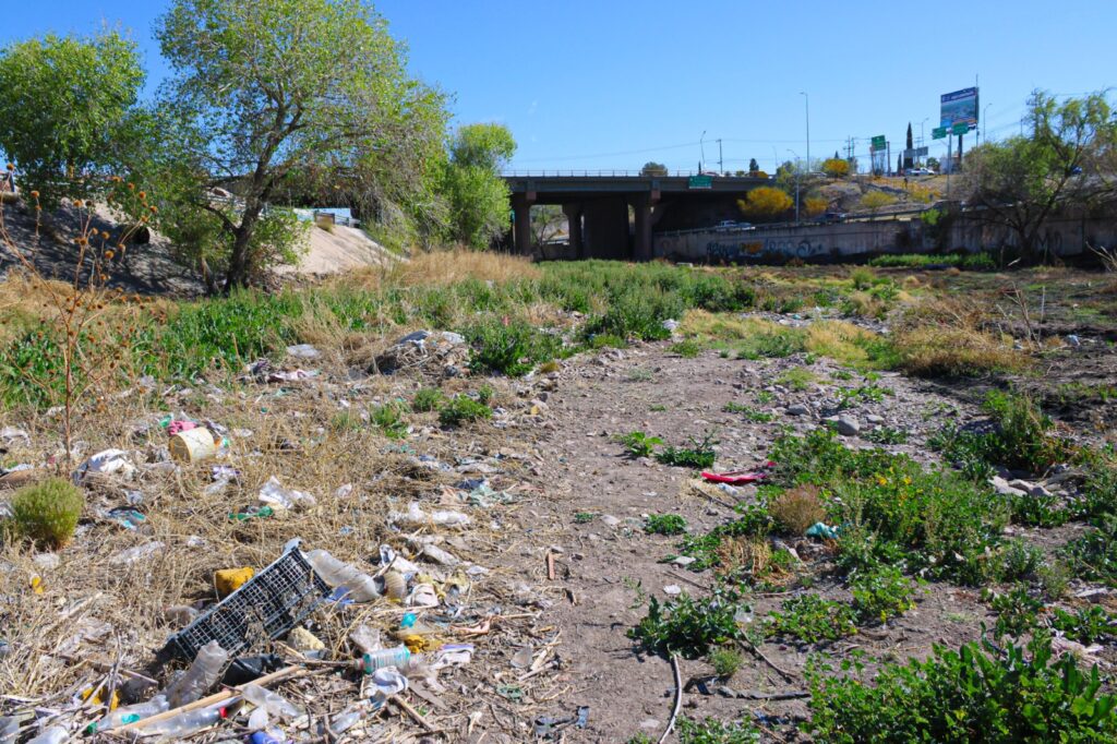 WhatsApp Image 2026-03-19 at 1.28.55 PM (2)