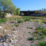 WhatsApp Image 2026-03-19 at 1.28.55 PM (2)