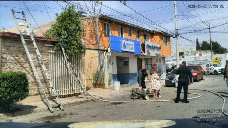 WhatsApp Image 2026-03-20 at 11.15.04 AM (1)