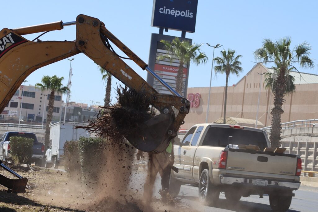 WhatsApp Image 2026-03-23 at 10.33.58 AM