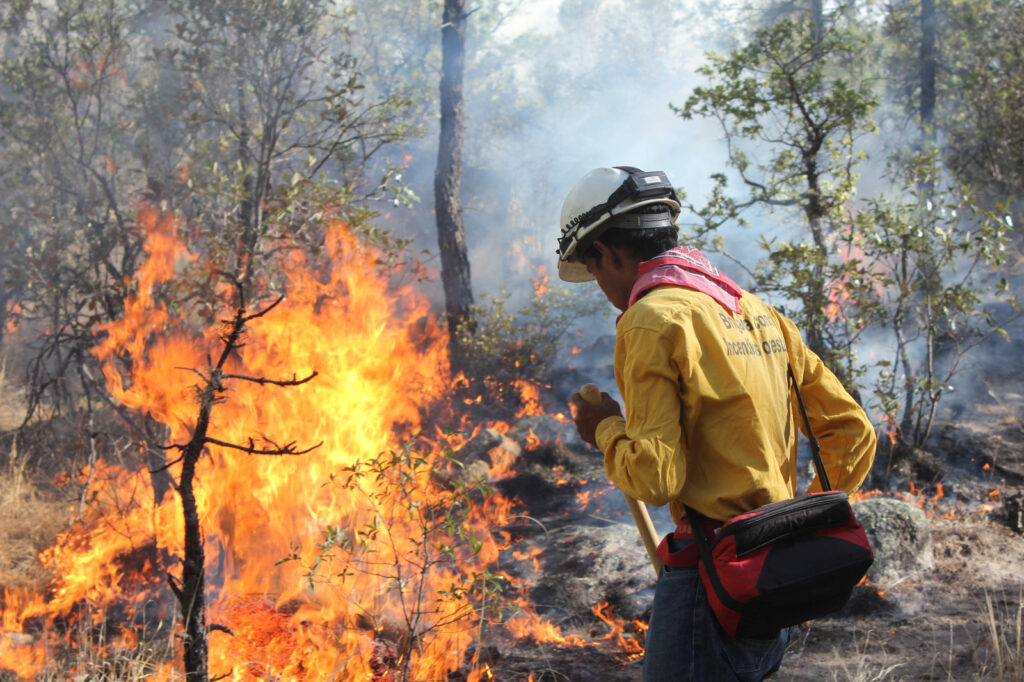 incendio forestal brigadista