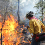 incendio forestal brigadista