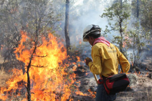 incendio forestal brigadista