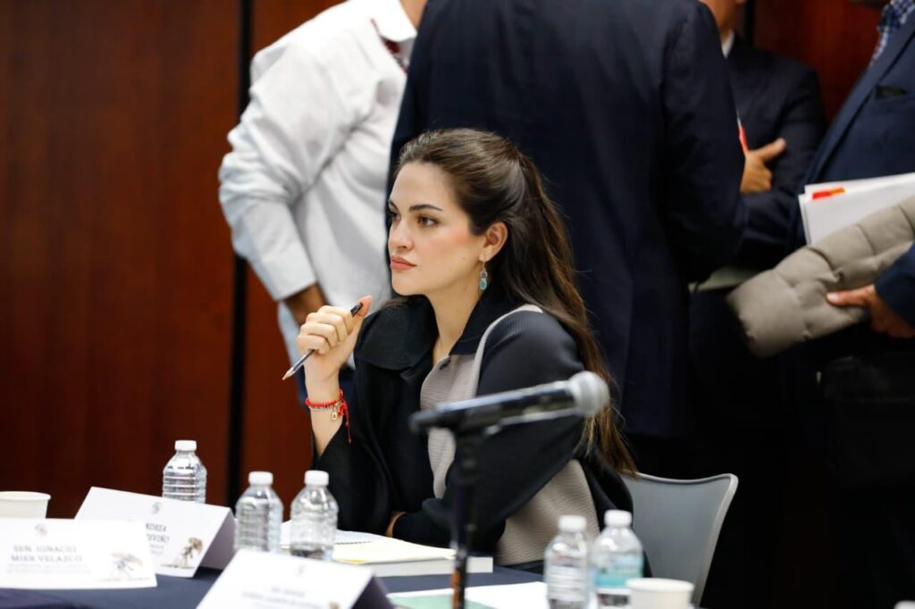 WhatsApp Image 2026-03-24 at 18.17.42