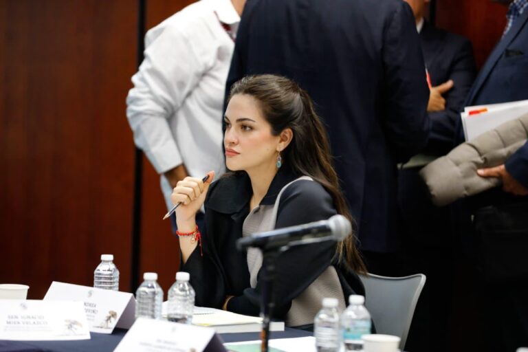 WhatsApp Image 2026-03-24 at 18.17.42