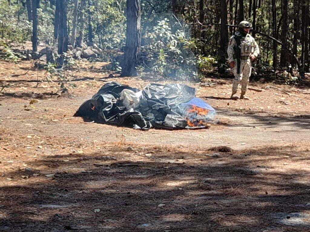 WhatsApp Image 2026-03-25 at 16.41.46