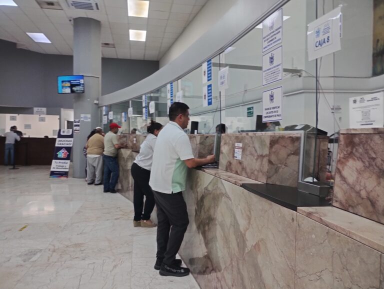 WhatsApp Image 2026-03-26 at 11.35.50 AM