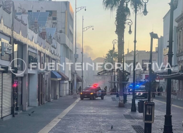 WhatsApp Image 2026-03-27 at 07.33.38 (2)