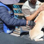 WhatsApp Image 2026-03-27 at 10.11.08 AM