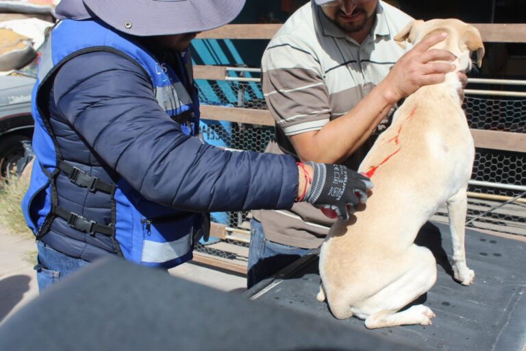 WhatsApp Image 2026-03-27 at 10.11.08 AM