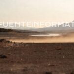 WhatsApp Image 2026-03-27 at 10.56.16 AM