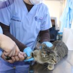 WhatsApp Image 2026-03-30 at 11.42.13 AM (2)