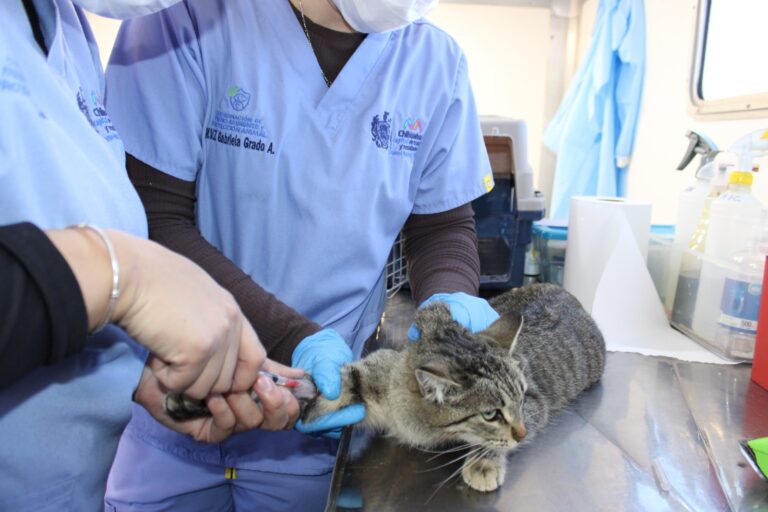 WhatsApp Image 2026-03-30 at 11.42.13 AM (2)