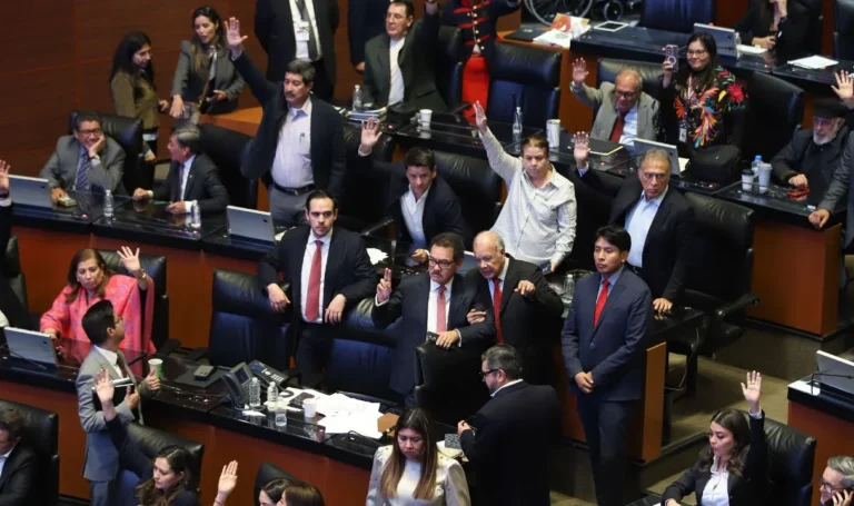 diputados-reciben-plan-b-aprobado-por-el-senado-2