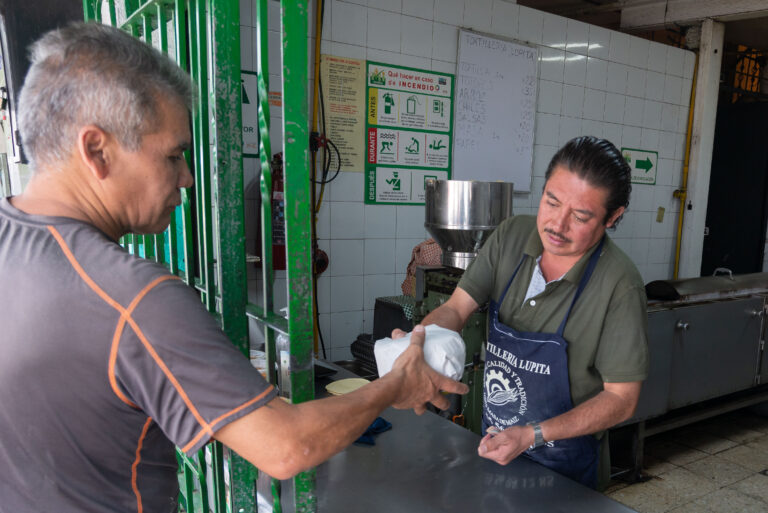 260414 AGRICULTURA descarta alza en precios de maíz y harina-4