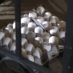 PHOTO-2026-04-15-09-58-08