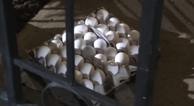 PHOTO-2026-04-15-09-58-08