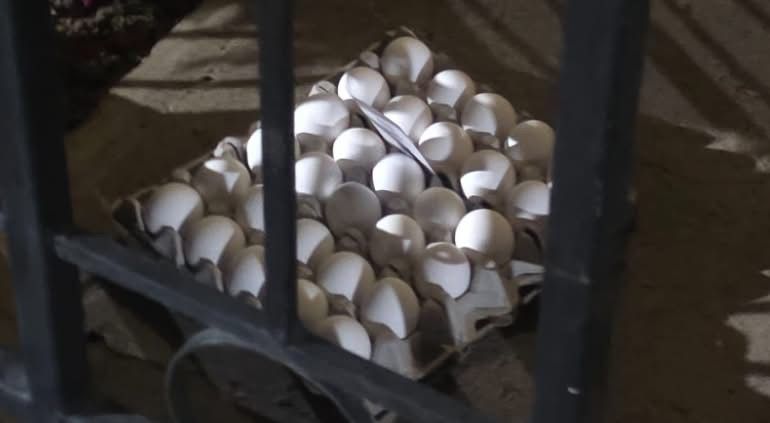 PHOTO-2026-04-15-09-58-08