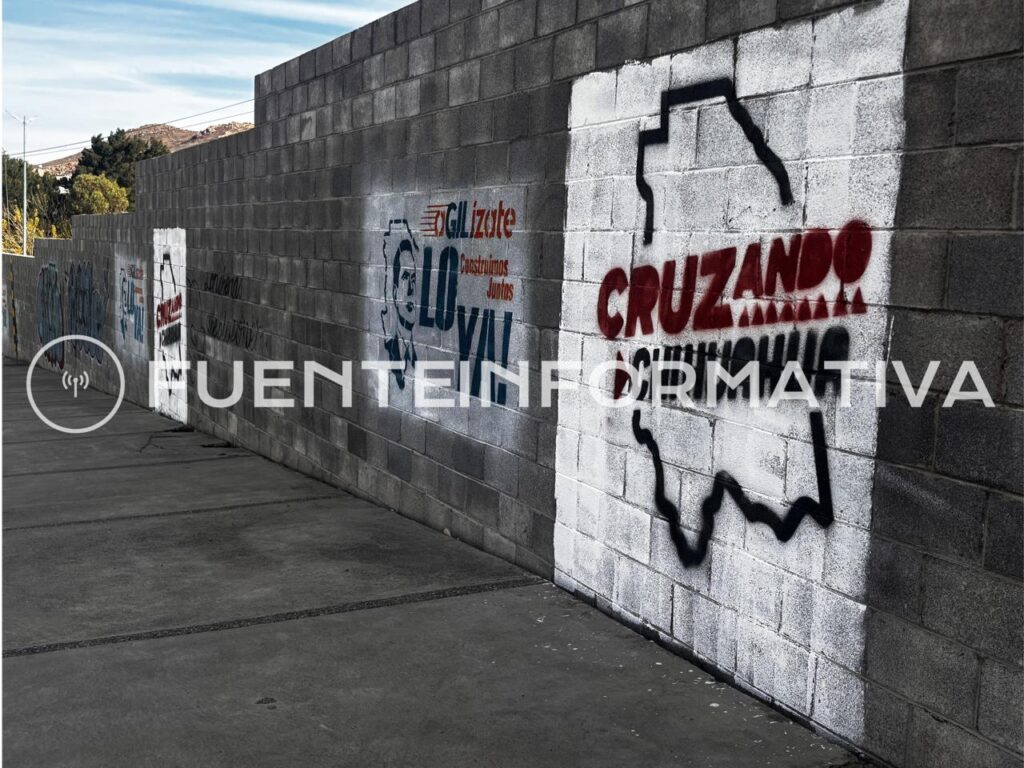 WhatsApp-Image-2026-03-19-at-11.56.54