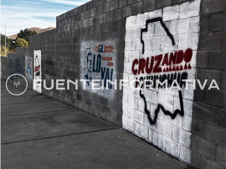 WhatsApp-Image-2026-03-19-at-11.56.54