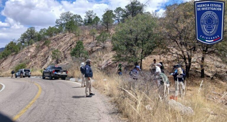 WhatsApp Image 2026-03-31 at 8.16.48 PM (1)