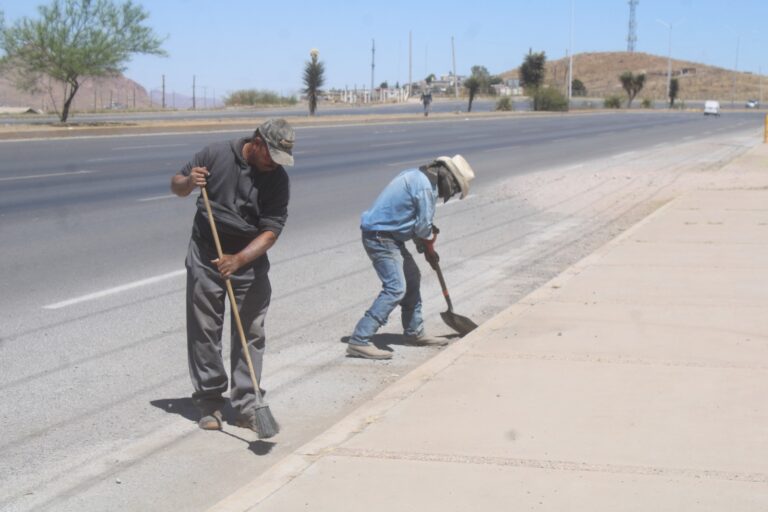 WhatsApp Image 2026-04-01 at 10.16.09 AM