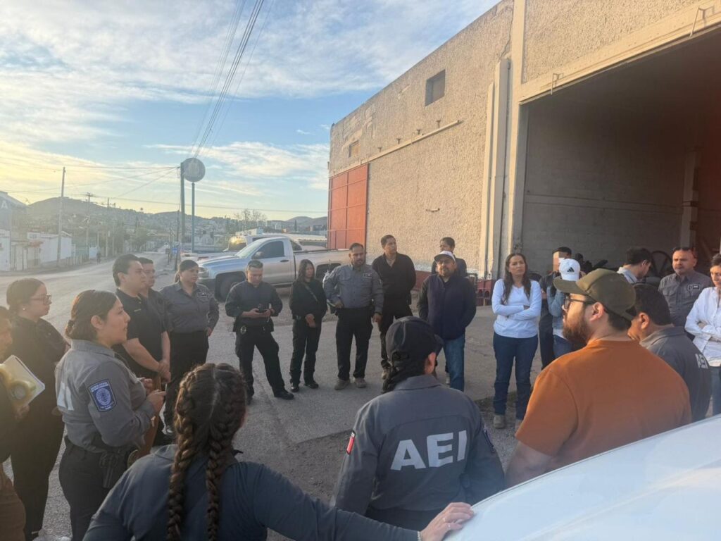 WhatsApp Image 2026-04-01 at 12.23.19 PM