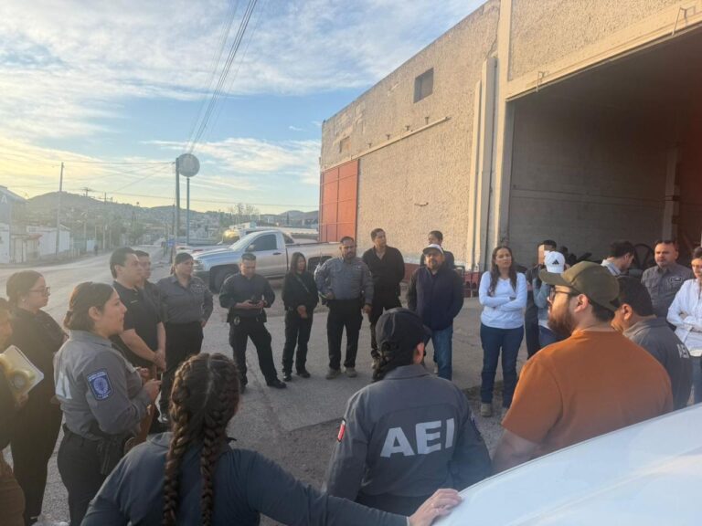 WhatsApp Image 2026-04-01 at 12.23.19 PM